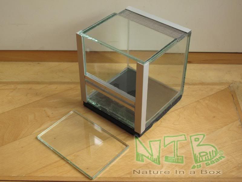 Convert a glass aquarium to a European style terrarium Dendroboard